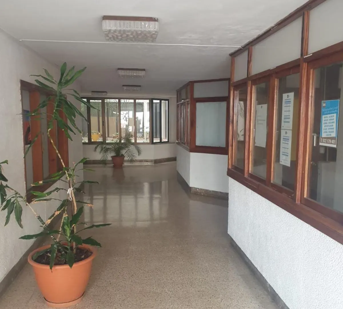 Gold Oasis Apartment El Medano  Spain